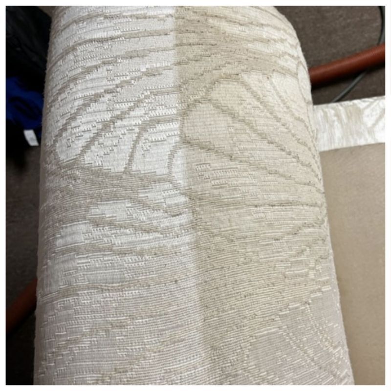 Upholstery Cleaning in Munster